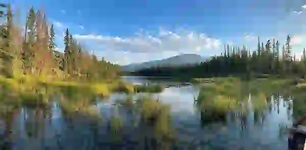 RushMyPassport Canada