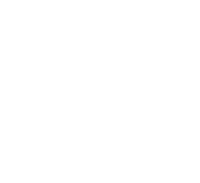rushmypassport